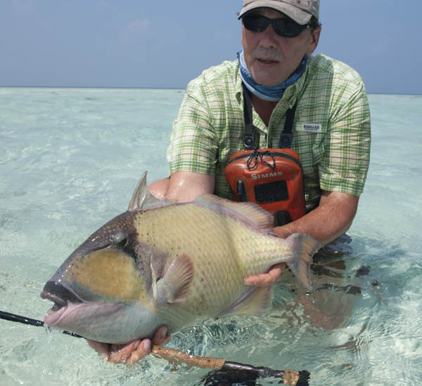 Drückerfish sind scheu und nicht einfach mit der Fliege zu überlisten
